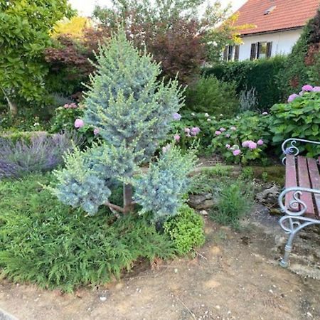 Apartma Jozica In Toncek Sveti Jurij ob Scavnici Екстериор снимка