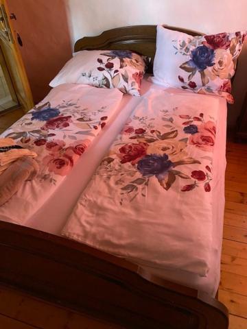 Apartma Jozica In Toncek Sveti Jurij ob Scavnici Екстериор снимка