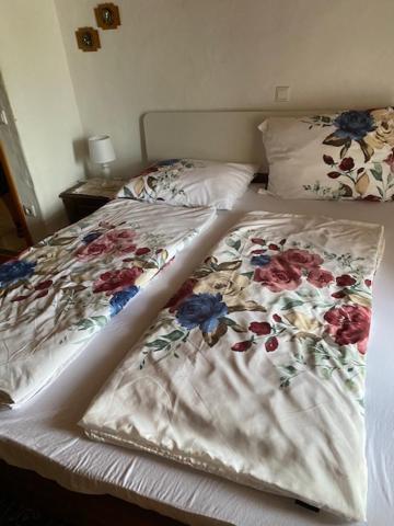 Apartma Jozica In Toncek Sveti Jurij ob Scavnici Екстериор снимка